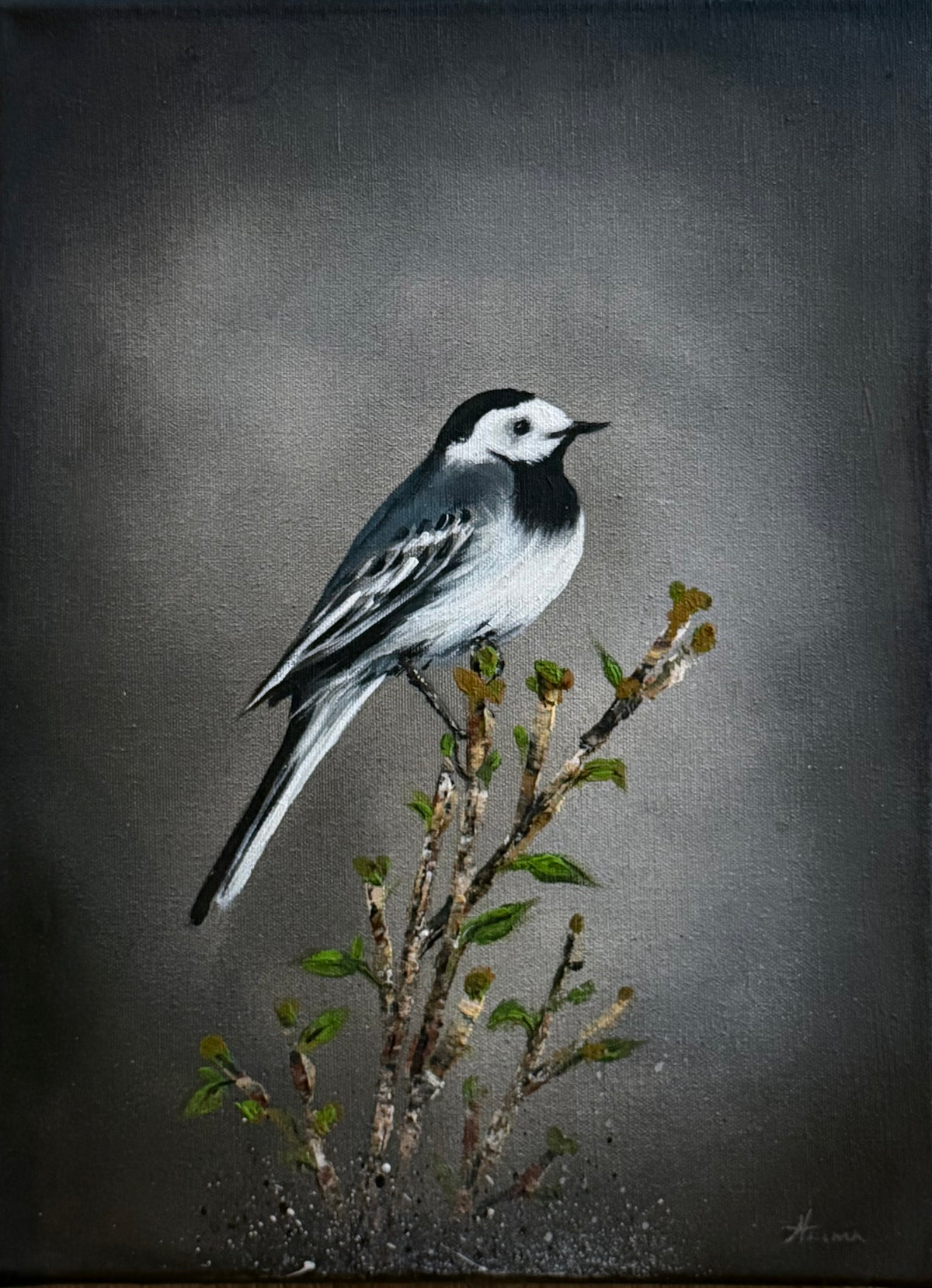 Maríuerla á grein 40 x 50 cm