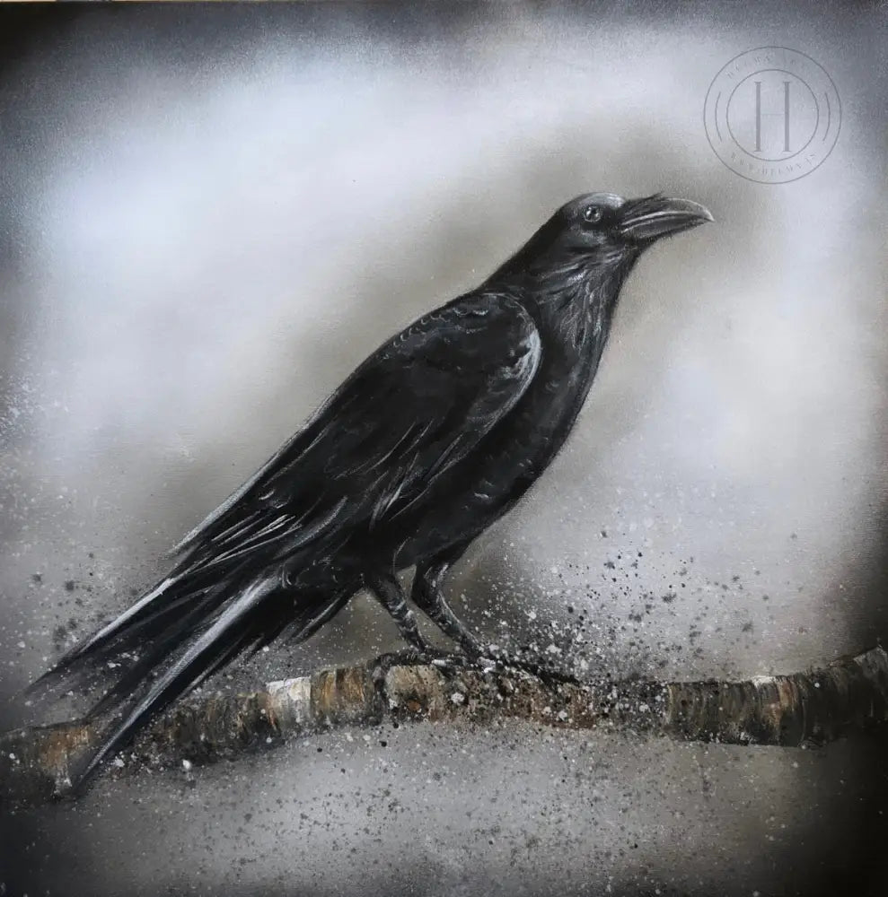 Hrafn Á Grein - 60X60 Cm