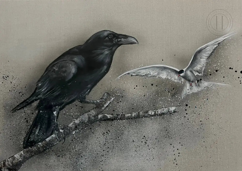 Hrafn Á Grein Og Kría 70X100 Cm