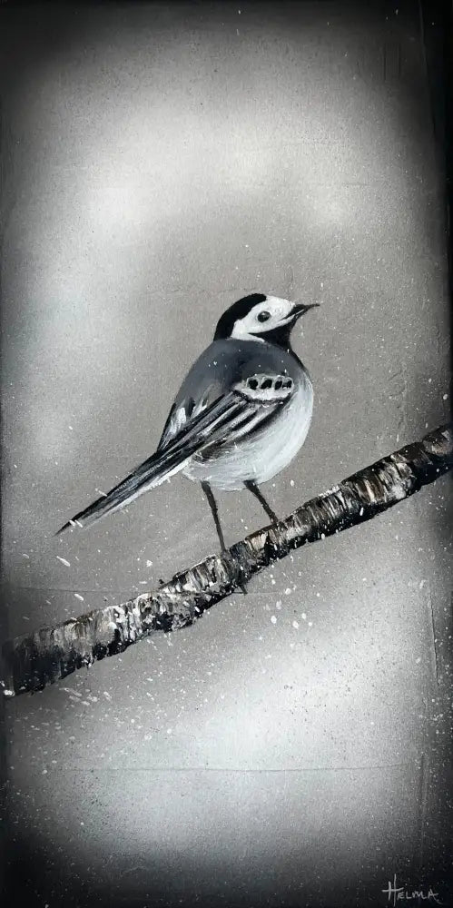 Maríuerla Á Grein 25X50 Cm