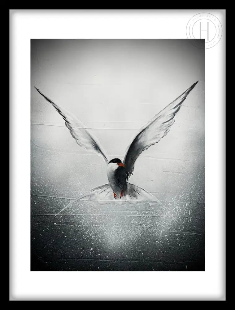 Nr 37 Kría- 30 X 40 Cm