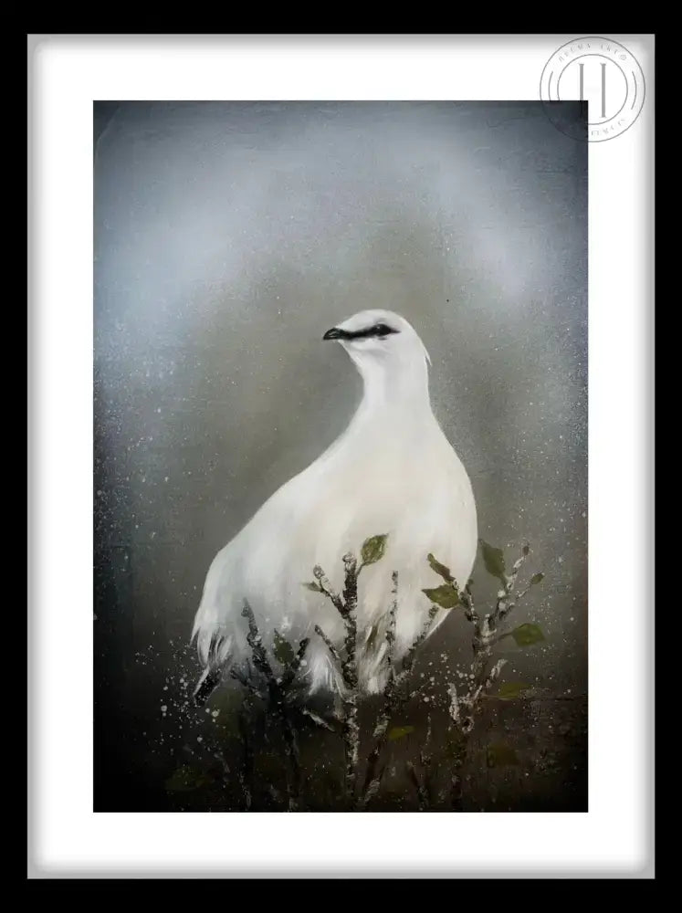 Nr 54 -.Rjúpa- 40 x 50 cm