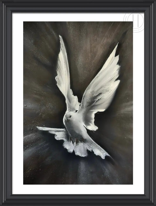 Friðarflug - 40 x 50 cm
