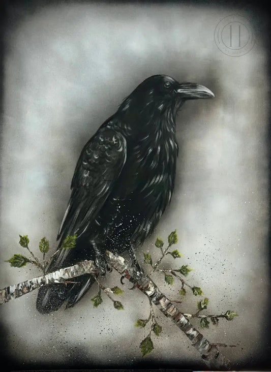 Krummi à grein - 90 x 120