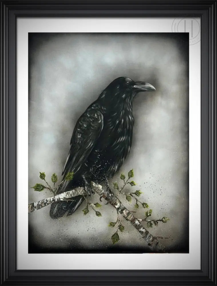 Nr 59 - Krummi á grein 50 x 70 cm í ramma